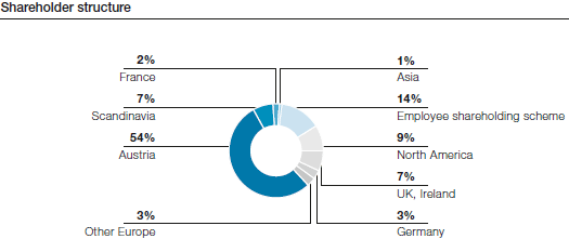 Shareholder structure (pie chart)