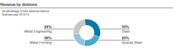 Revenue by divisions (pie chart)