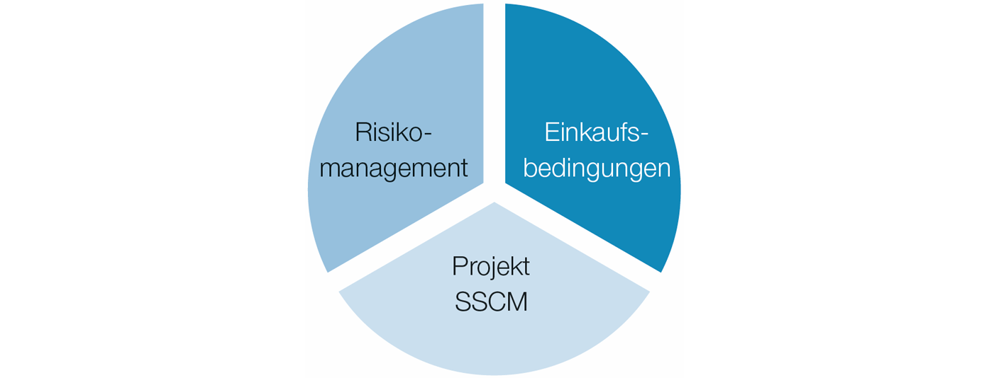 Sustainable Supply Chain Management (Tortendiagramm)