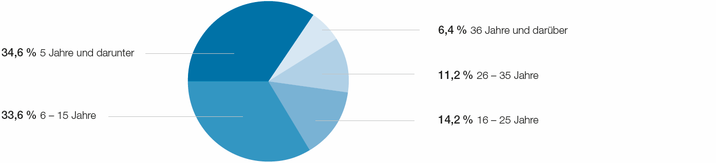 Betriebszugehörigkeit (Tortendiagramm)