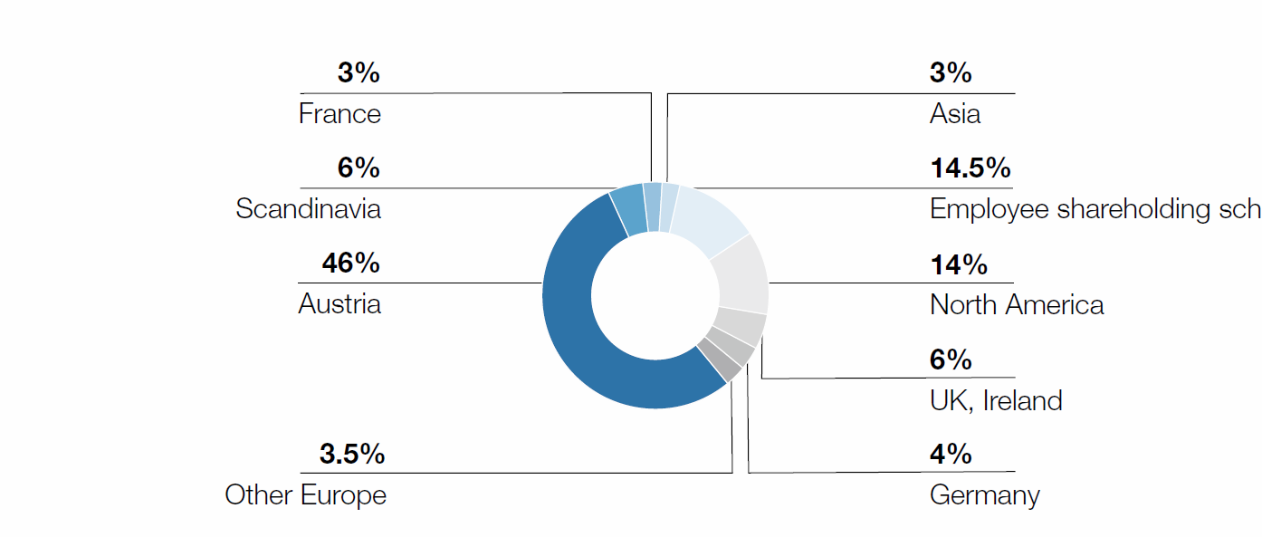 Shareholder structure (pie chart)