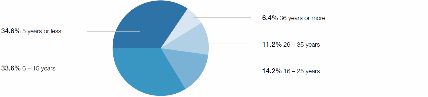 Job tenure (pie chart)