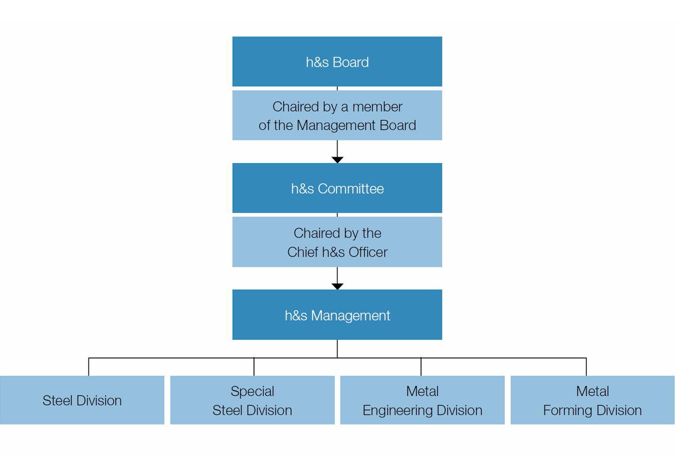 An overview of the structure at the Group level (organigram)