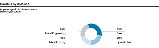 Revenue by divisions (pie chart)