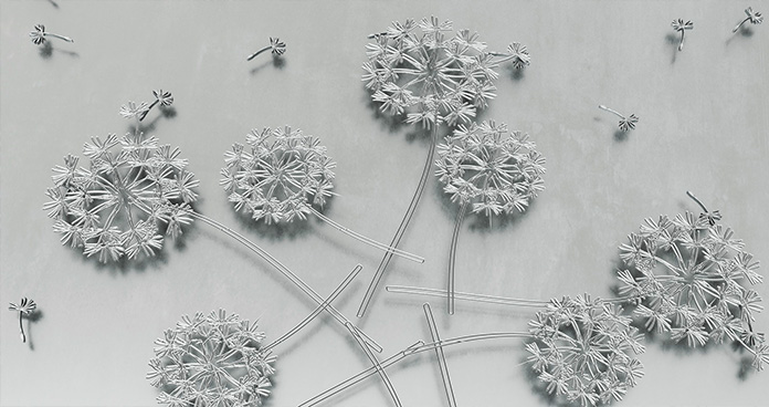 Trennbild Löwenzahn (Foto)